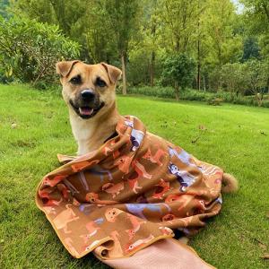  Portable Pet Towels 